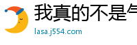 我真的不是气运之子云中殿
